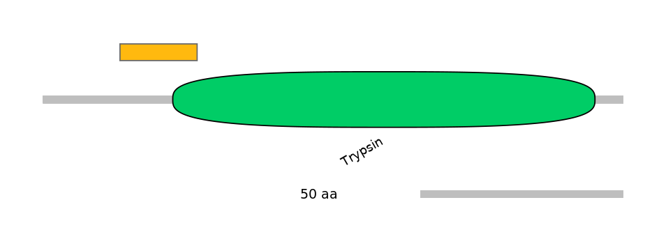 MmuEX6058591-EXC