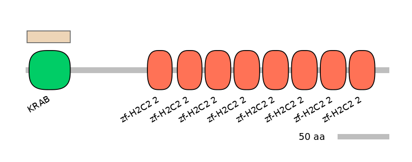 MmuEX6058925-EXC