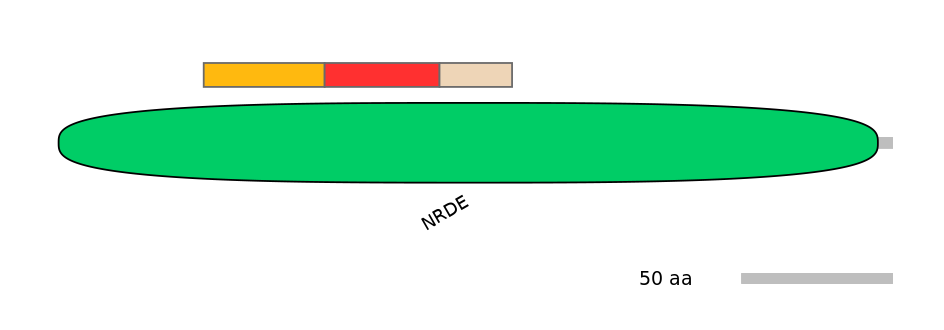 MmuEX6061304-INC