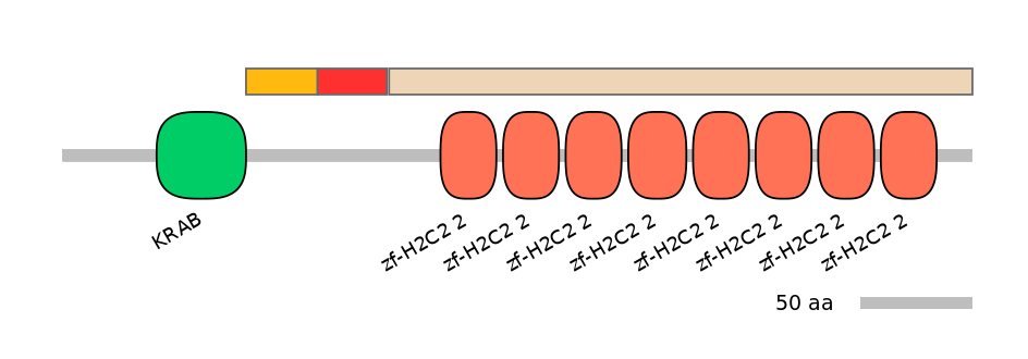 MmuEX6064136-INC