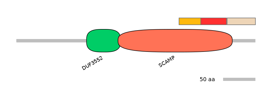 MmuEX6066207-INC