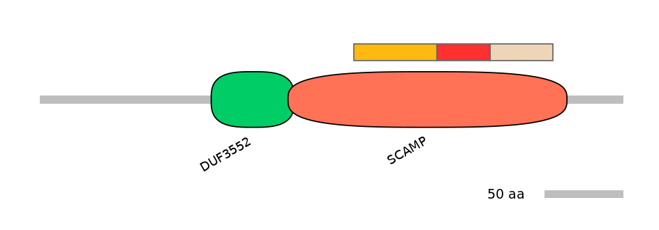 MmuEX6066208-INC