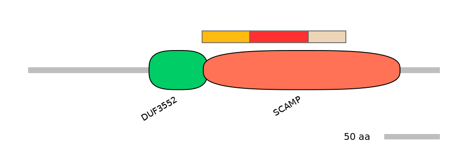 MmuEX6066209-INC