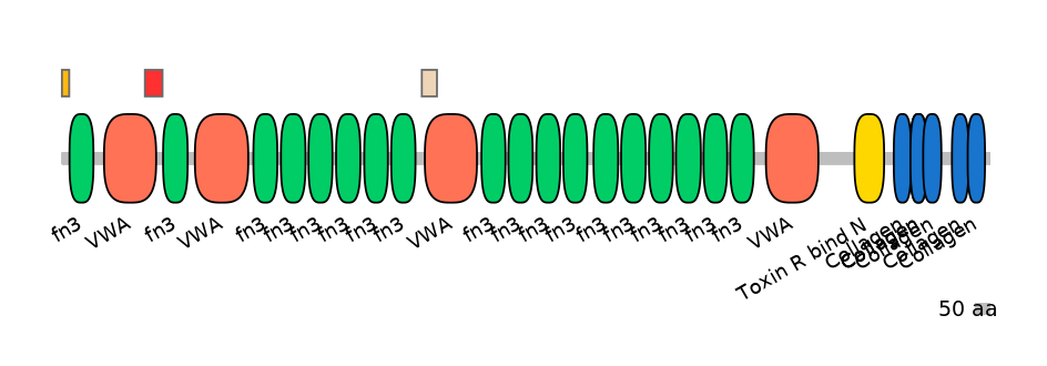 MmuEX6067456-INC