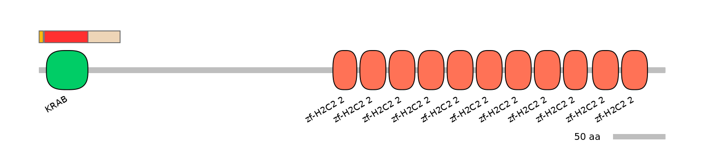 MmuEX6067740-INC