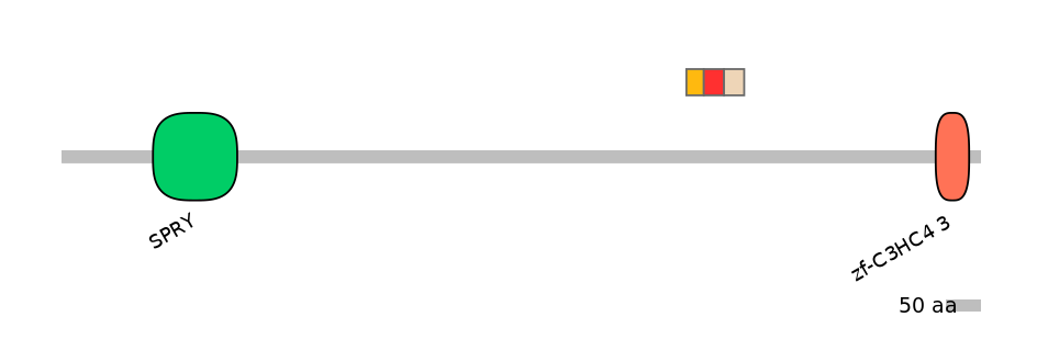 MmuEX6068809-INC