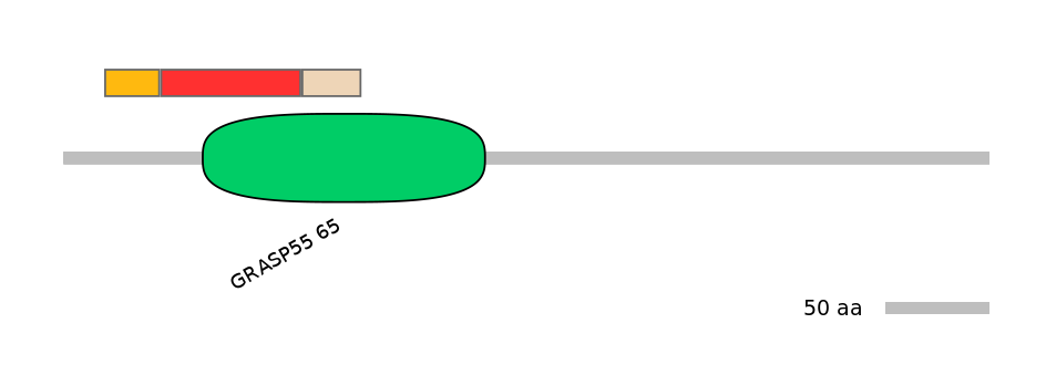 MmuEX6069849-INC