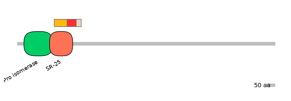 MmuEX6069970-INC