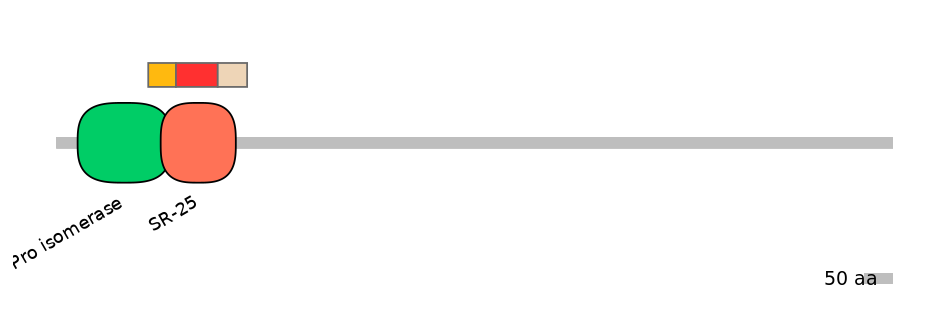 MmuEX6069971-INC