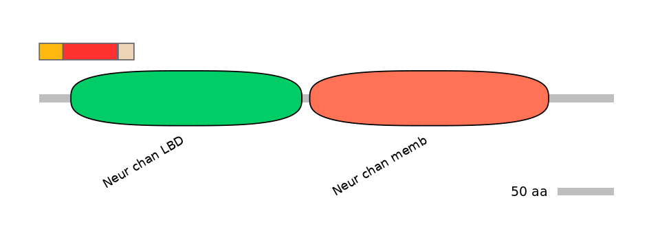 MmuEX6072203-INC