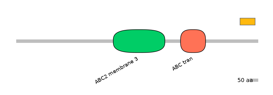MmuEX6073805-EXC