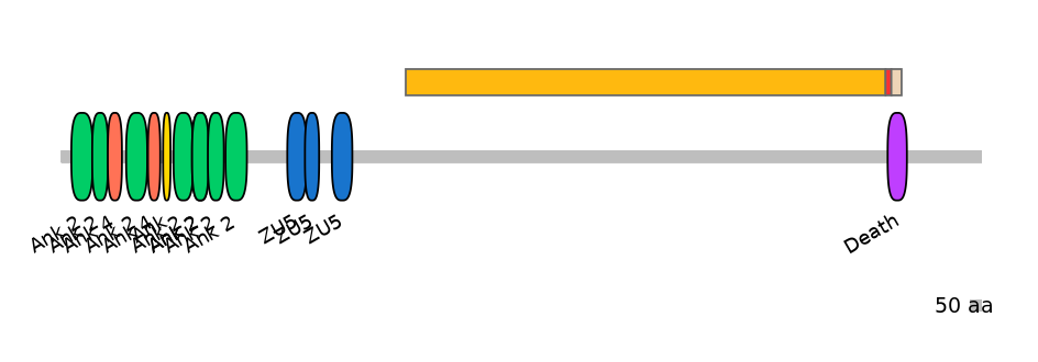 MmuEX6073976-INC