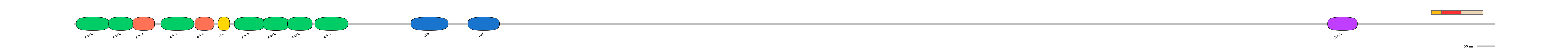 MmuEX6073982-INC