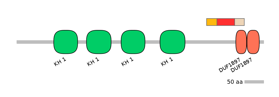 MmuEX6074741-INC