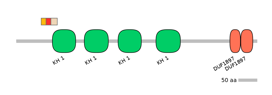 MmuEX6074753-INC