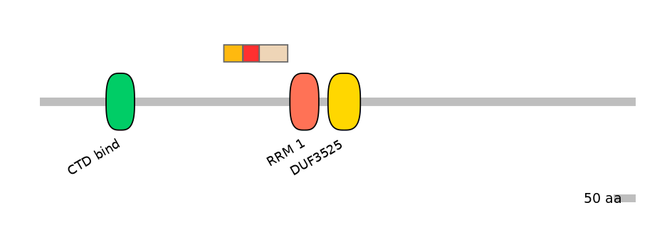 MmuEX6074963-INC