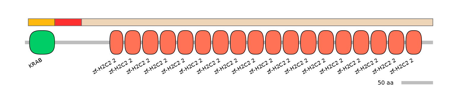 MmuEX6075432-INC
