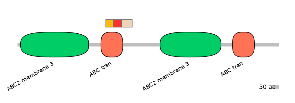 MmuEX6075639-INC
