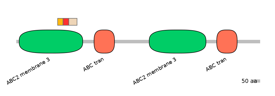 MmuEX6075645-INC