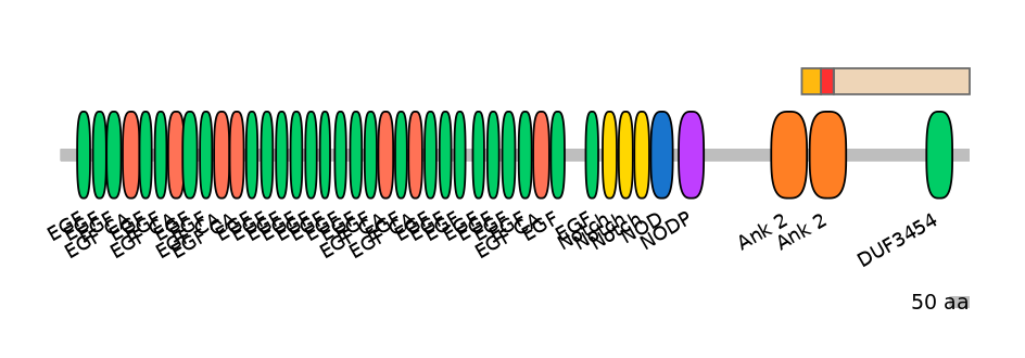 MmuEX6076748-INC