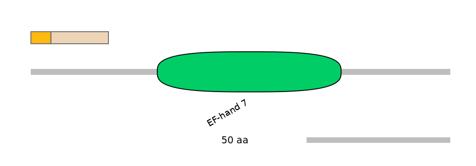 MmuEX6077426-EXC