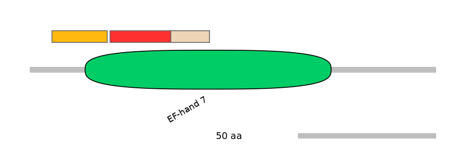 MmuEX6077428-INC