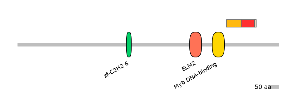 MmuEX6078195-INC