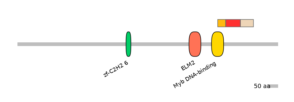 MmuEX6078196-INC