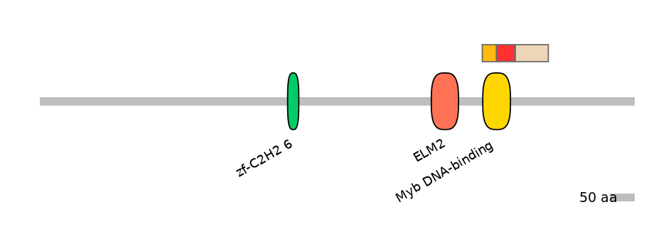 MmuEX6078197-INC