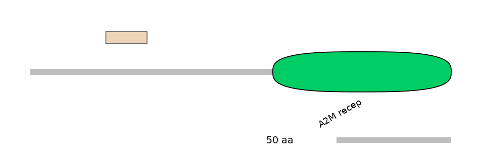 MmuEX6078741-EXC
