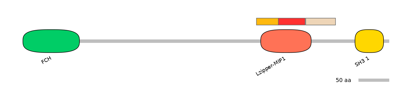 MmuEX6078764-INC