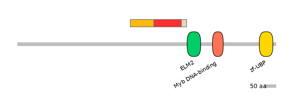 MmuEX6082036-INC