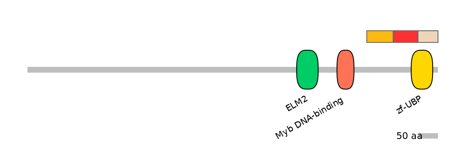 MmuEX6082041-INC