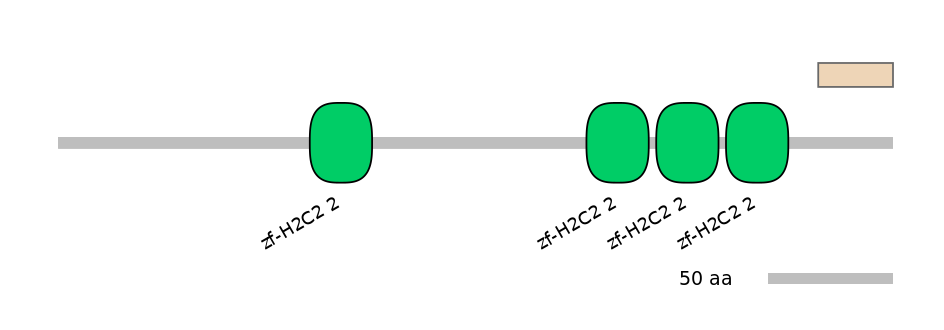 MmuEX6085669-EXC