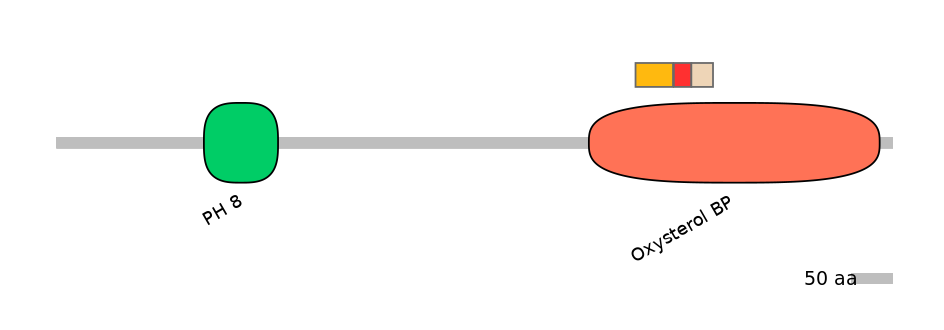 MmuEX6089165-INC