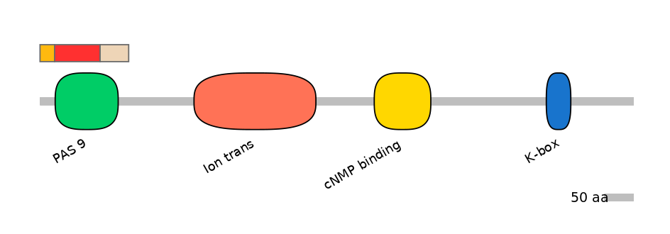 MmuEX6089752-INC