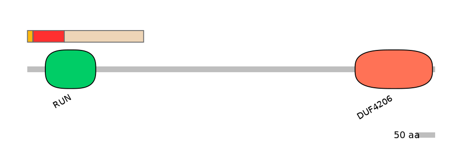 MmuEX6090284-INC