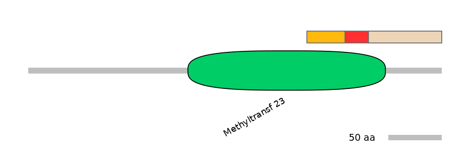 MmuEX6090405-INC