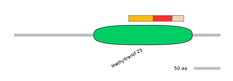 MmuEX6090406-INC