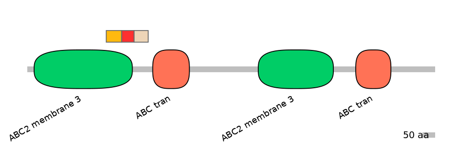 MmuEX6090838-INC