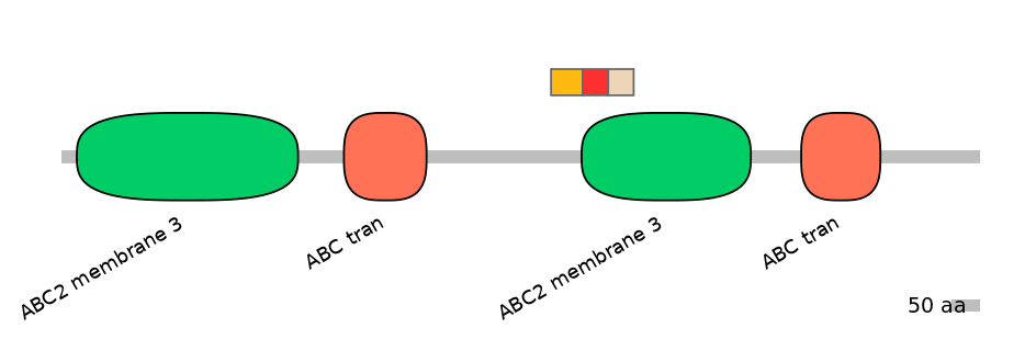 MmuEX6090849-INC