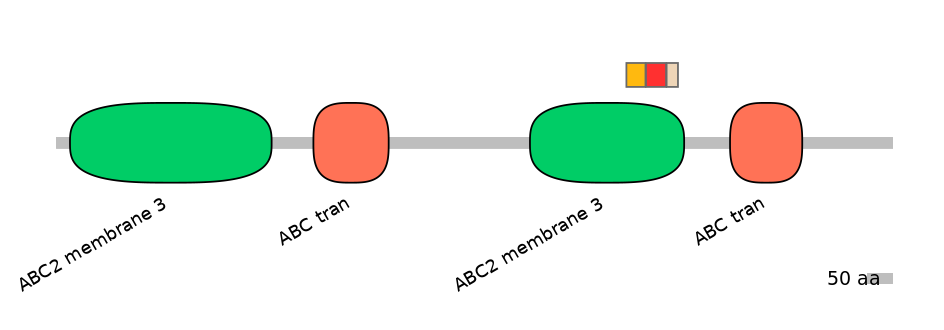MmuEX6090854-INC