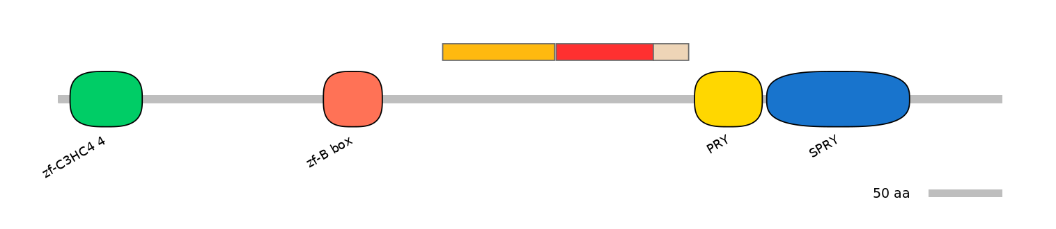 MmuEX6091347-INC