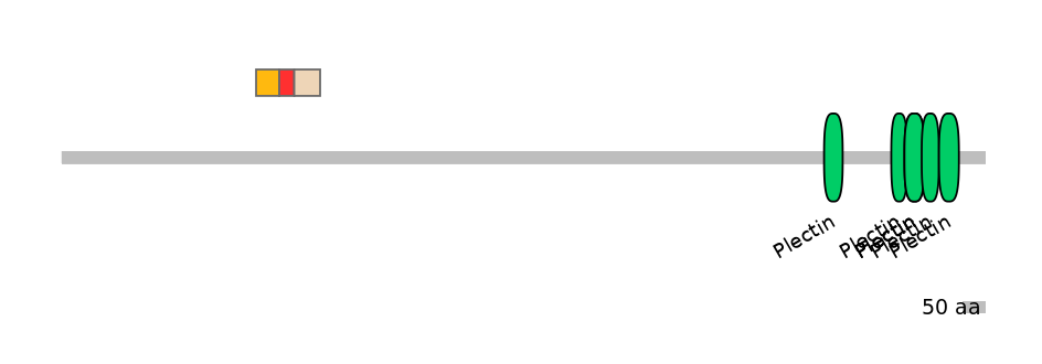MmuEX6091389-INC
