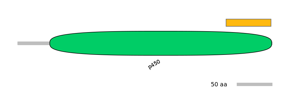 MmuEX6095188-EXC