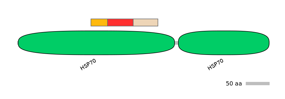 MmuEX6098719-INC