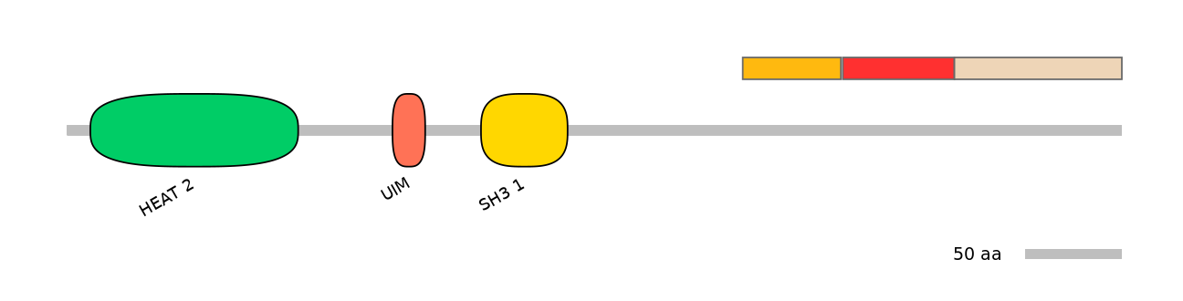 MmuEX6099038-INC