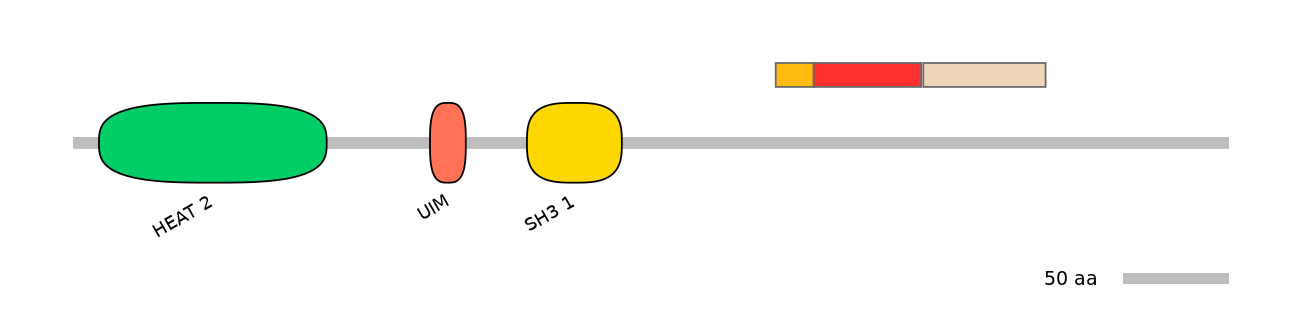 MmuEX6099039-INC