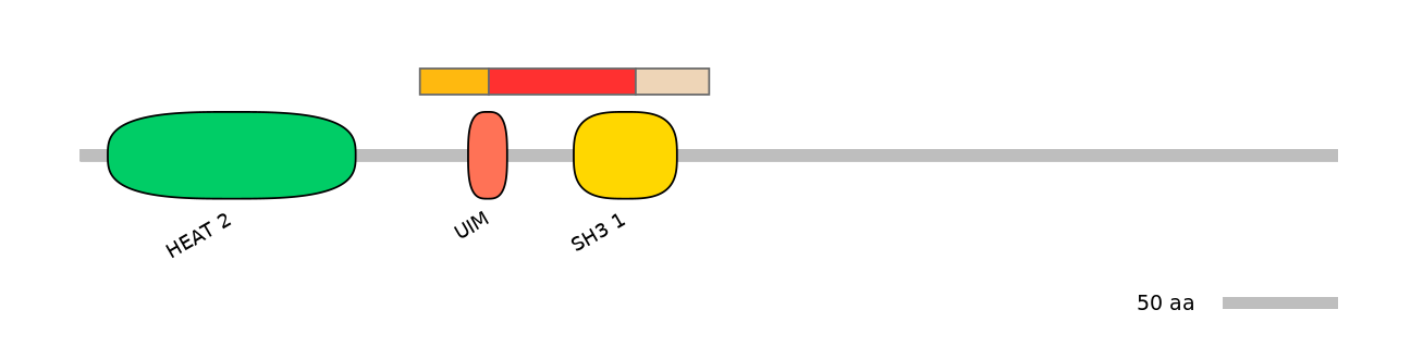 MmuEX6099043-INC