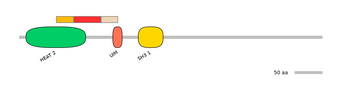 MmuEX6099045-INC